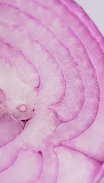 Anti-Grease Shampoo - Onion, Ginger & Celery